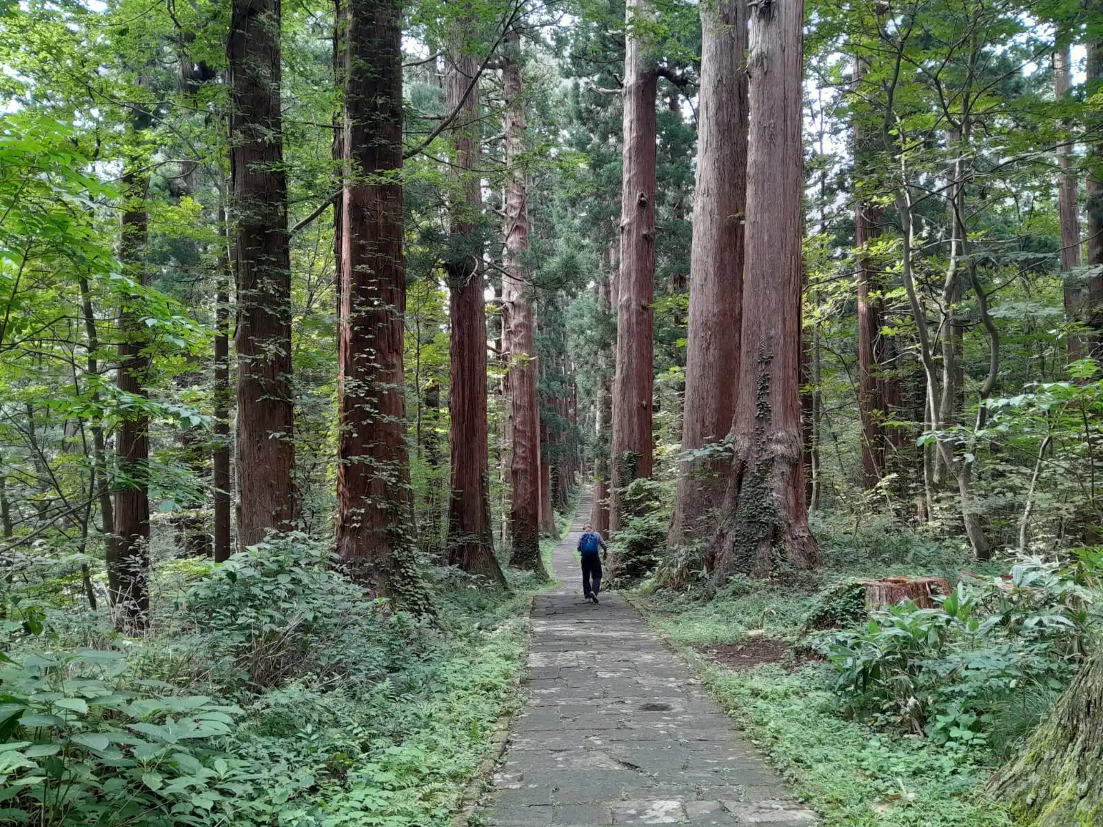 Image gallery marquee