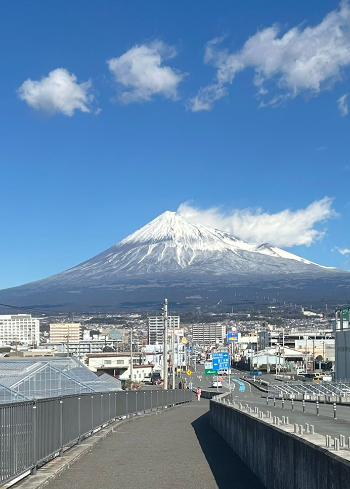 Image gallery marquee